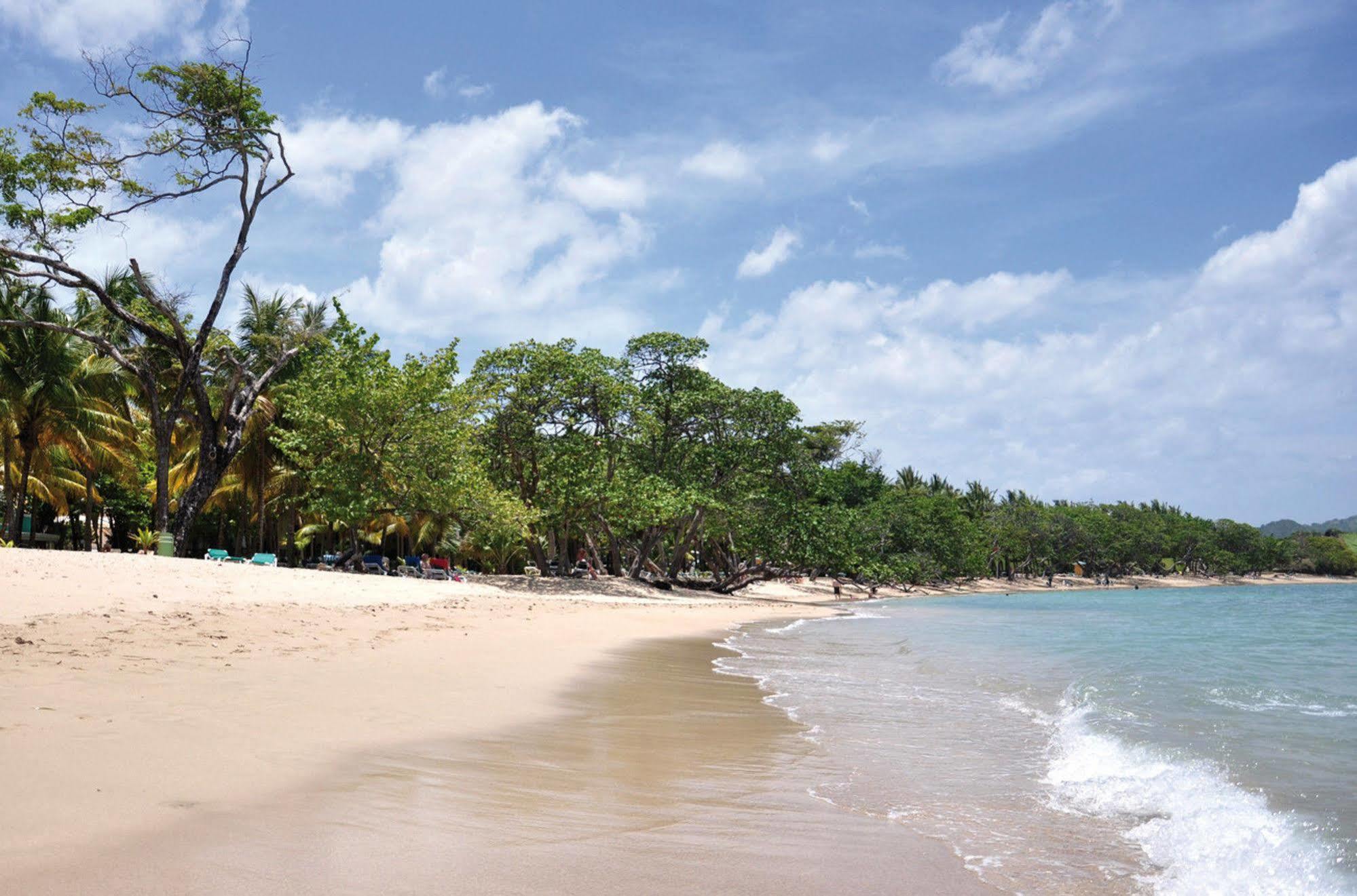 Senator Puerto Plata Vip Hotel Eksteriør billede